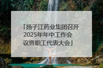 扬子江药业集团召开2025年年中工作会议暨职工代表大会