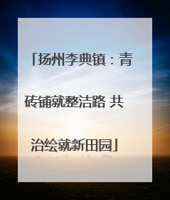 扬州李典镇：青砖铺就整洁路 共治绘就新田园
