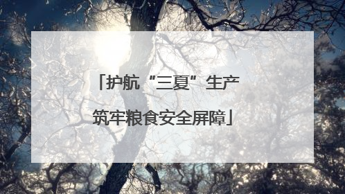 护航“三夏”生产 筑牢粮食安全屏障
