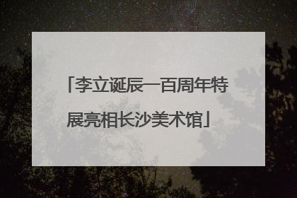 李立诞辰一百周年特展亮相长沙美术馆