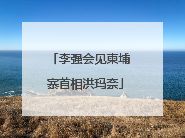 李强会见柬埔寨首相洪玛奈