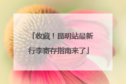 收藏！昆明站最新行李寄存指南来了