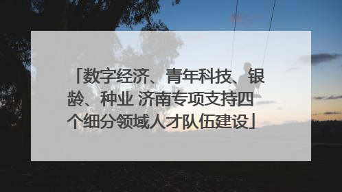 数字经济、青年科技、银龄、种业 济南专项支持四个细分领域人才队伍建设