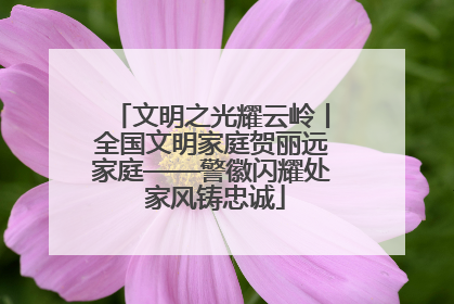 文明之光耀云岭丨全国文明家庭贺丽远家庭——警徽闪耀处 家风铸忠诚