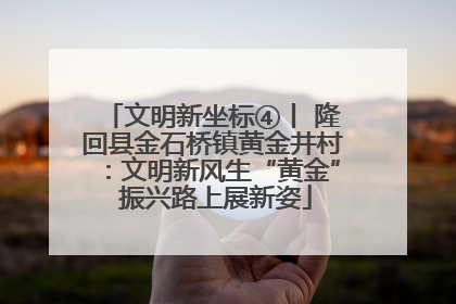 文明新坐标④丨 隆回县金石桥镇黄金井村：文明新风生“黄金” 振兴路上展新姿