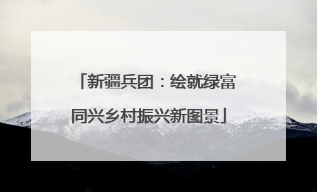 新疆兵团：绘就绿富同兴乡村振兴新图景