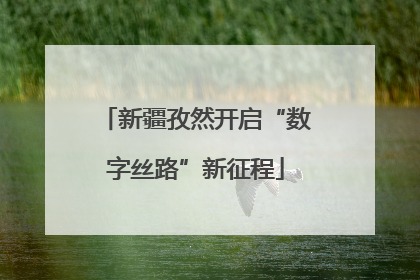 新疆孜然开启“数字丝路”新征程