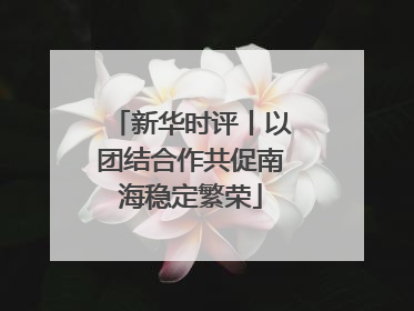 新华时评丨以团结合作共促南海稳定繁荣