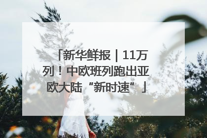 新华鲜报｜11万列！中欧班列跑出亚欧大陆“新时速”