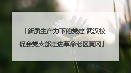 新质生产力下的党建 武汉校促会党支部走进革命老区黄冈