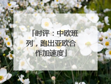 时评：中欧班列，跑出亚欧合作加速度