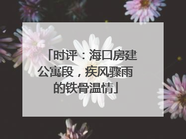 时评：海口房建公寓段，疾风骤雨的铁骨温情