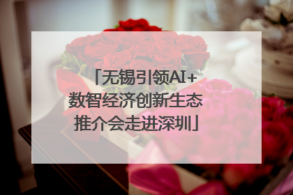 无锡引领AI+数智经济创新生态推介会走进深圳