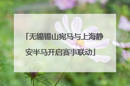 无锡锡山宛马与上海静安半马开启赛事联动