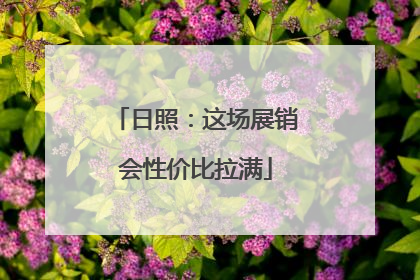 日照：这场展销会性价比拉满