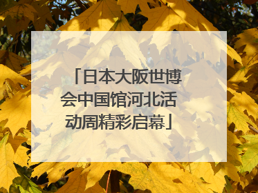 日本大阪世博会中国馆河北活动周精彩启幕