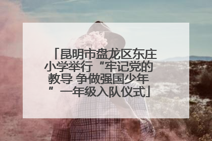 昆明市盘龙区东庄小学举行“牢记党的教导 争做强国少年”一年级入队仪式