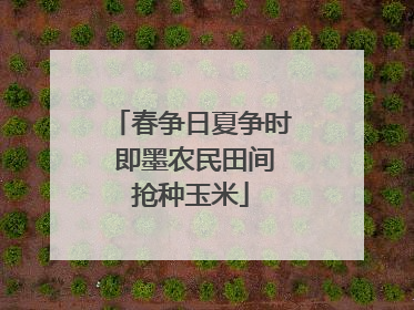 春争日夏争时 即墨农民田间抢种玉米