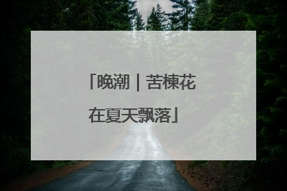 晚潮｜苦楝花在夏天飘落
