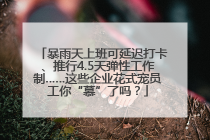 暴雨天上班可延迟打卡、推行4.5天弹性工作制……这些企业花式宠员工你“慕”了吗？