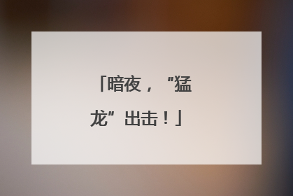 暗夜，“猛龙”出击！