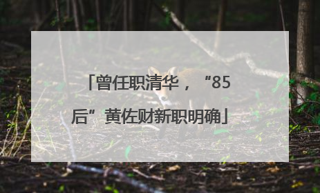 曾任职清华，“85后”黄佐财新职明确