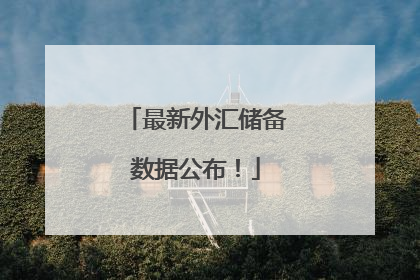 最新外汇储备数据公布！