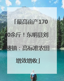 最高亩产1700余斤！东明县刘楼镇：高标准农田增效增收