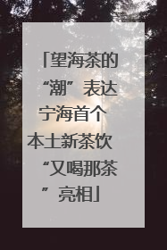 望海茶的“潮”表达 宁海首个本土新茶饮“又喝那茶”亮相
