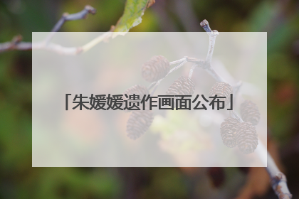 朱媛媛遗作画面公布