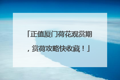 正值厦门荷花观赏期，赏荷攻略快收藏！