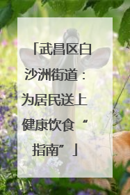 武昌区白沙洲街道：为居民送上健康饮食“指南”