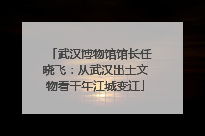武汉博物馆馆长任晓飞：从武汉出土文物看千年江城变迁