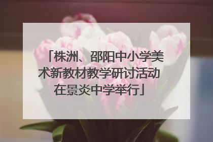 株洲、邵阳中小学美术新教材教学研讨活动在景炎中学举行