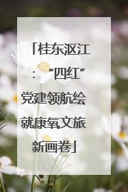 桂东沤江：“四红”党建领航绘就康氧文旅新画卷
