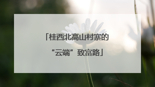 桂西北高山村寨的“云端”致富路