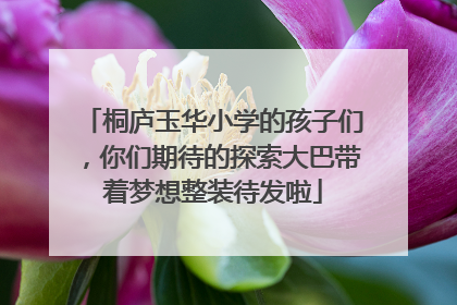 桐庐玉华小学的孩子们,你们期待的探索大巴带着梦想整装待发啦
