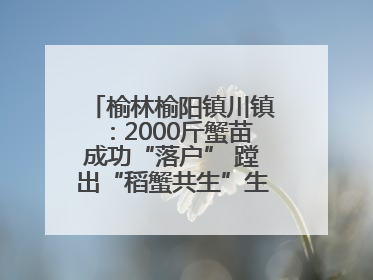 榆林榆阳镇川镇：2000斤蟹苗成功“落户” 蹚出“稻蟹共生”生态种养新路径