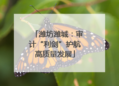 潍坊潍城：审计“利剑”护航高质量发展