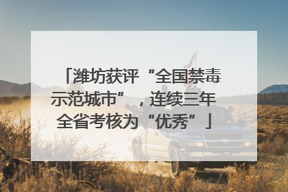 潍坊获评“全国禁毒示范城市”，连续三年全省考核为“优秀”