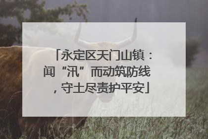 永定区天门山镇：闻“汛”而动筑防线，守土尽责护平安