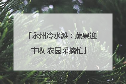 永州冷水滩：蔬果迎丰收 农园采摘忙