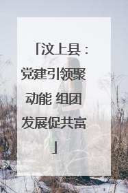 汶上县：党建引领聚动能 组团发展促共富