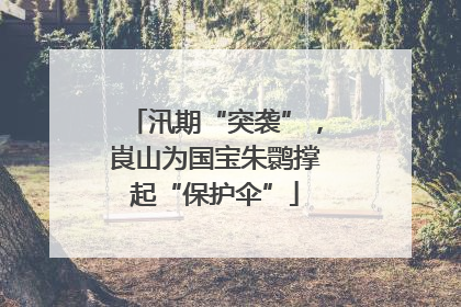 汛期“突袭”，崀山为国宝朱鹮撑起“保护伞”