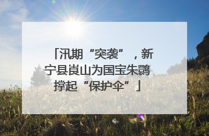 汛期“突袭”，新宁县崀山为国宝朱鹮撑起“保护伞”