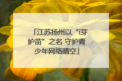 江苏扬州以“i芽护苗”之名 守护青少年网络晴空