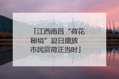 江西南昌“荷花秘境”夏日盛放 市民赏荷正当时