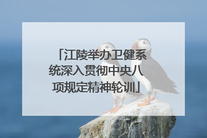 江陵举办卫健系统深入贯彻中央八项规定精神轮训
