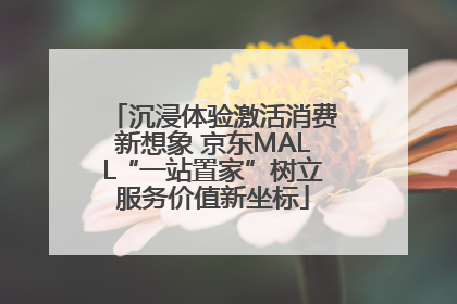 沉浸体验激活消费新想象 京东MALL“一站置家”树立服务价值新坐标