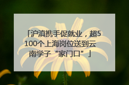 沪滇携手促就业，超5100个上海岗位送到云南学子“家门口”